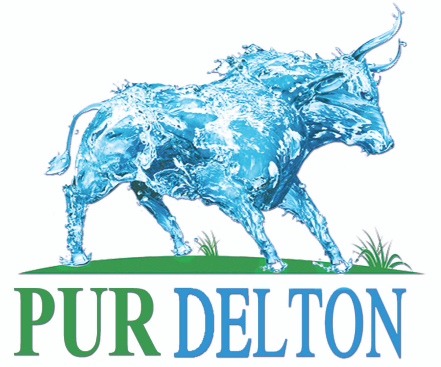 puredelton.shop